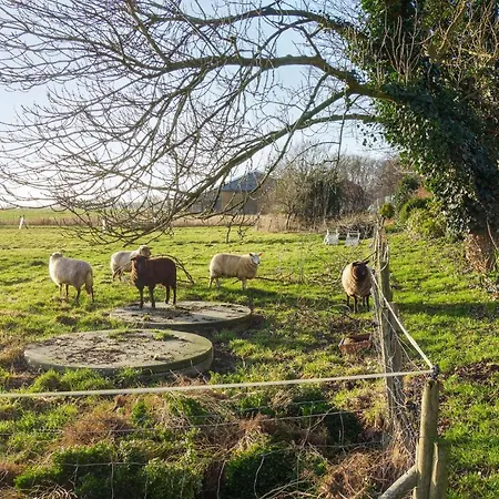 Gorgeous In With Wifi Lägenhet