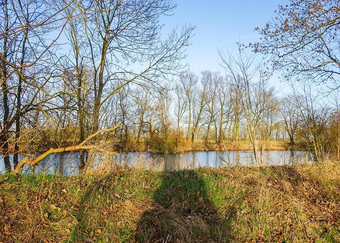 Gorgeous In With Wifi Appartement